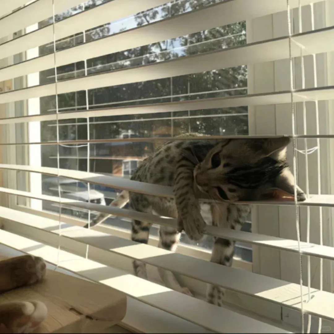 How to not waste your 20s