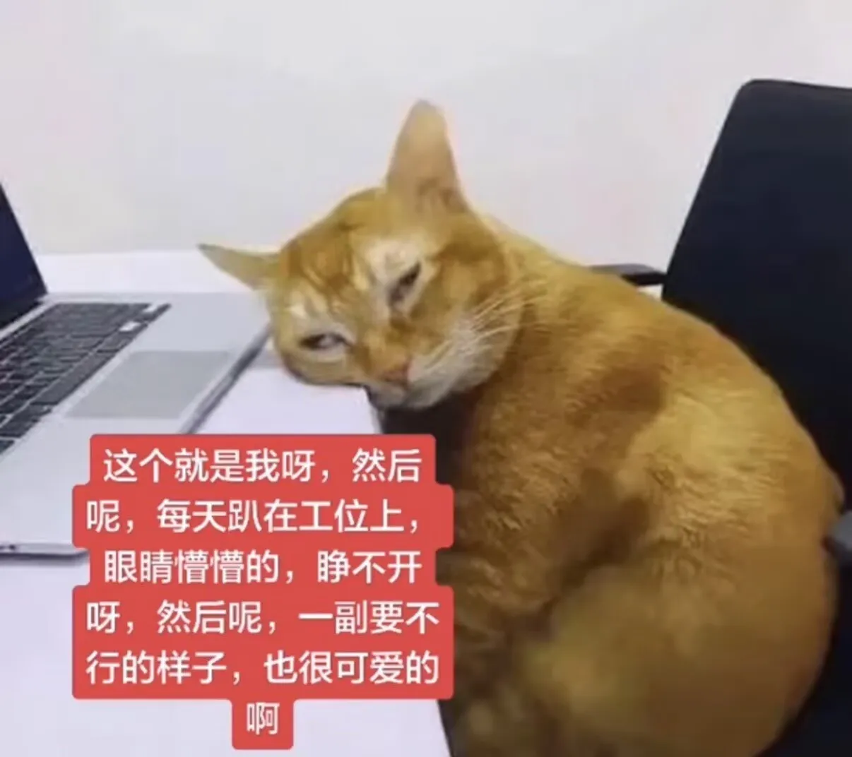 关于找实习的经验分享